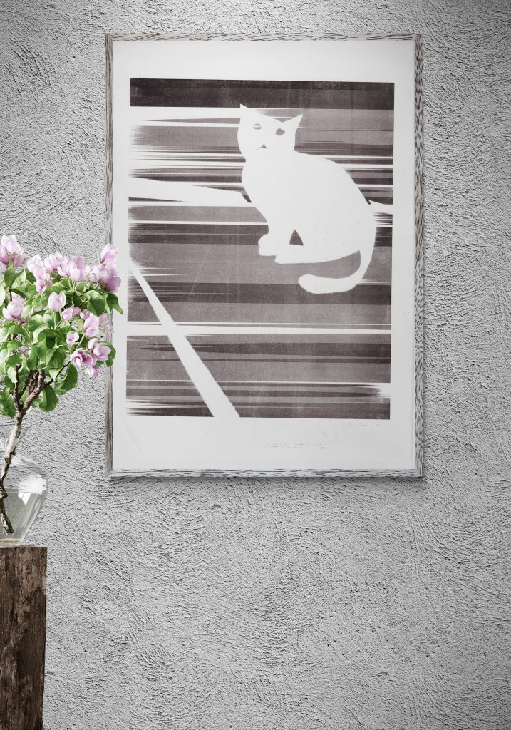 colorful-flowers-next-to-spotlit-wall