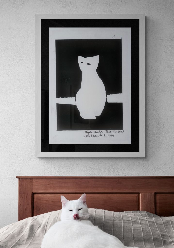 cute-white-cat-lying-on-bed (12)