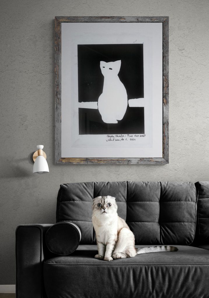 intense-cat-sitting-on-sofa (2)